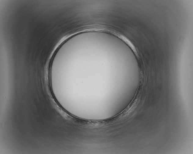 X0000112041099200908031037