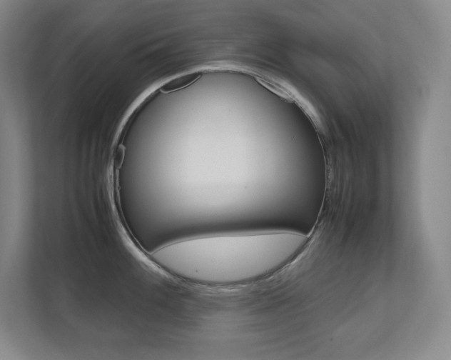 X0000112041100200908031037
