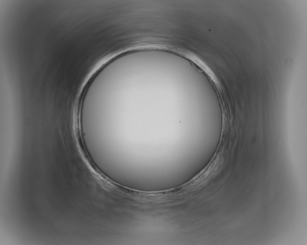 X0000112041101200908031037