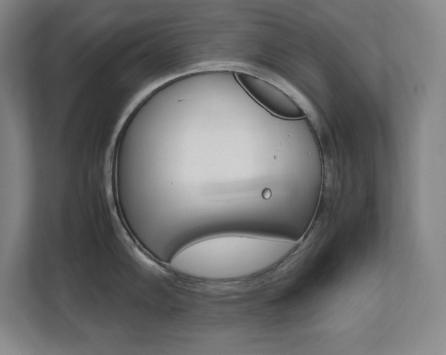 X0000112041102200908031037