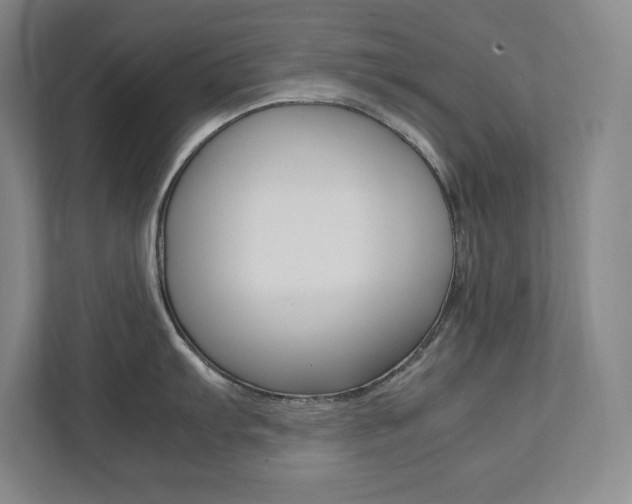 X0000112041103200908031037