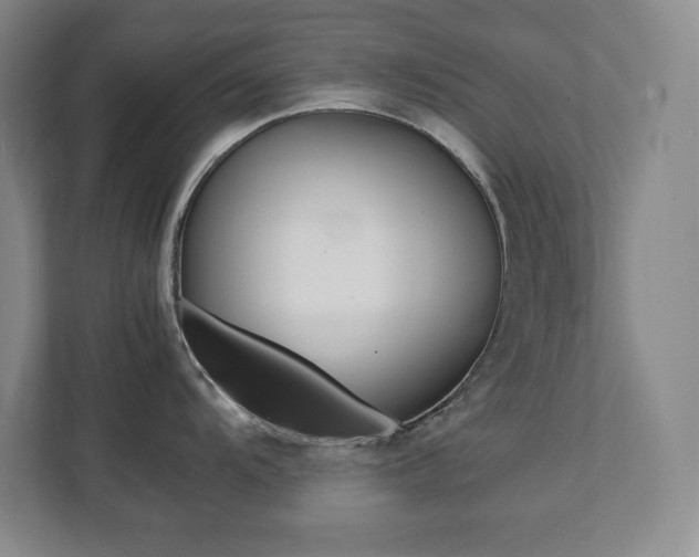X0000112041104200908031037
