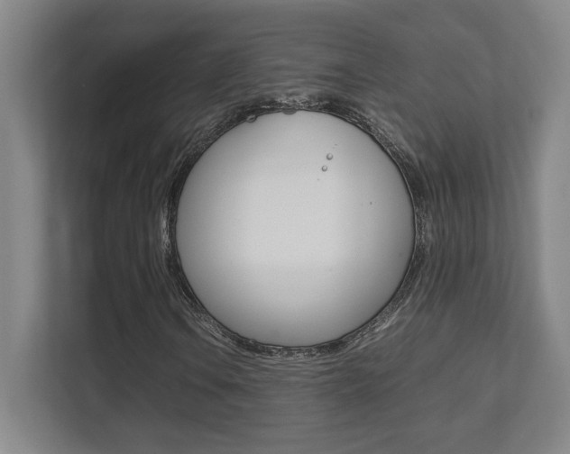 X0000112041106200908031036