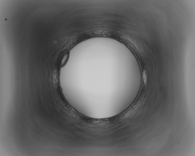 X0000112041107200908031036