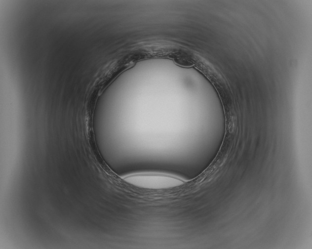 X0000112041108200908031036