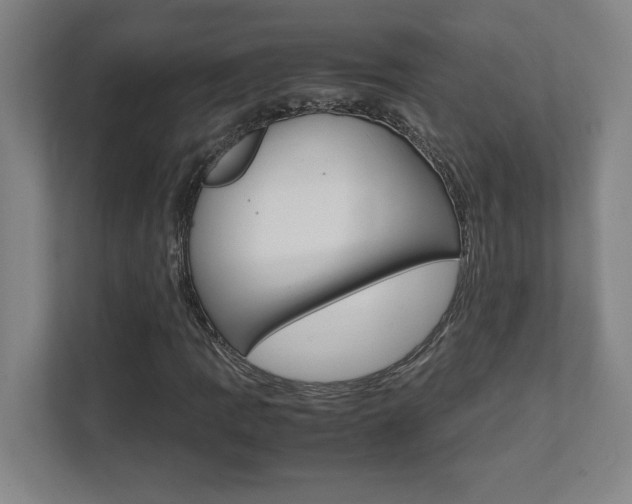 X0000112041109200908031036