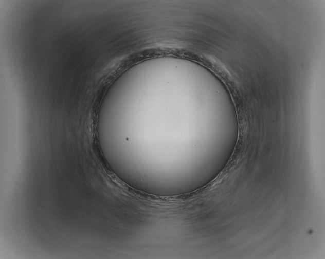 X0000112041110200908031036