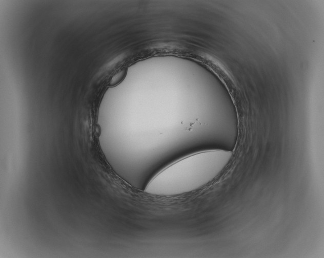 X0000112041111200908031036