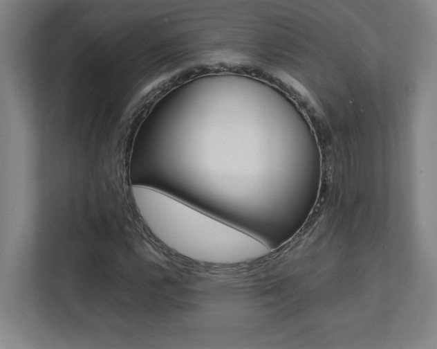 X0000112041112200908031036
