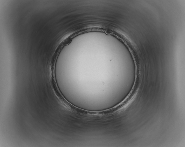 X0000112041113200908031036