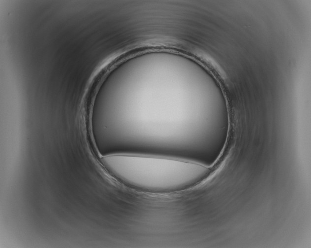 X0000112041114200908031037