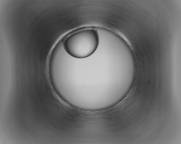 X0000112041116200908031037