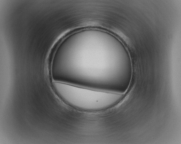 X0000112041118200908031037
