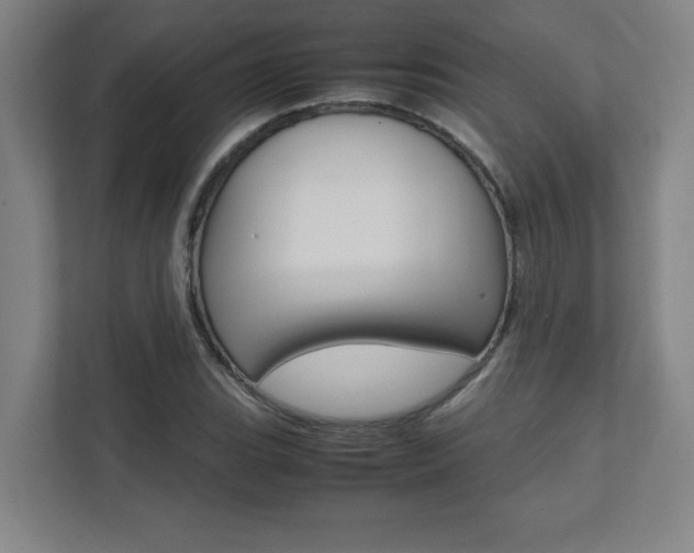 X0000112041119200908031037