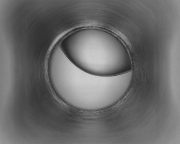 X0000112041120200908031037