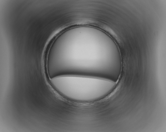 X0000112041122200908031037