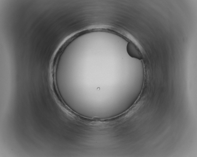 X0000112041124200908031037