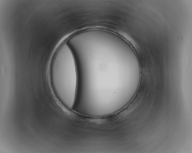 X0000112041127200908031037
