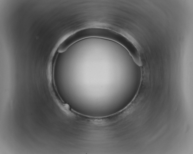 X0000112041128200908031037