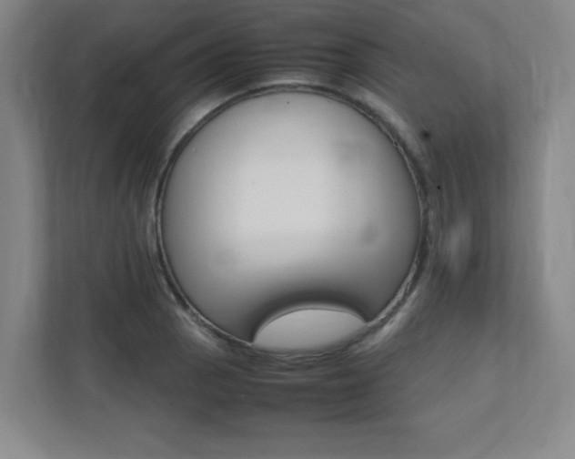 X0000112041129200908031037