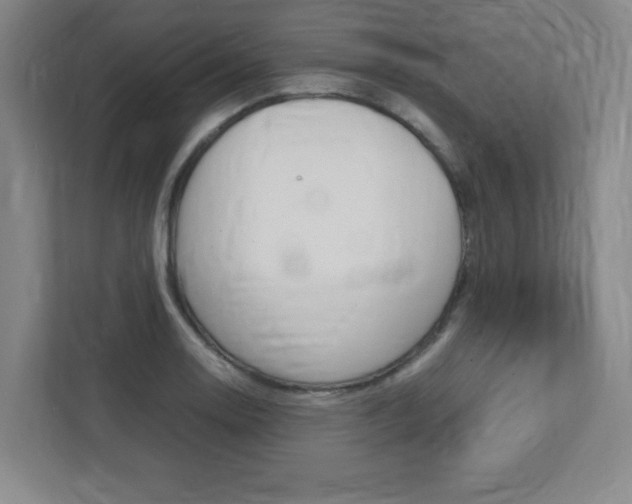 X0000112041130200908031037