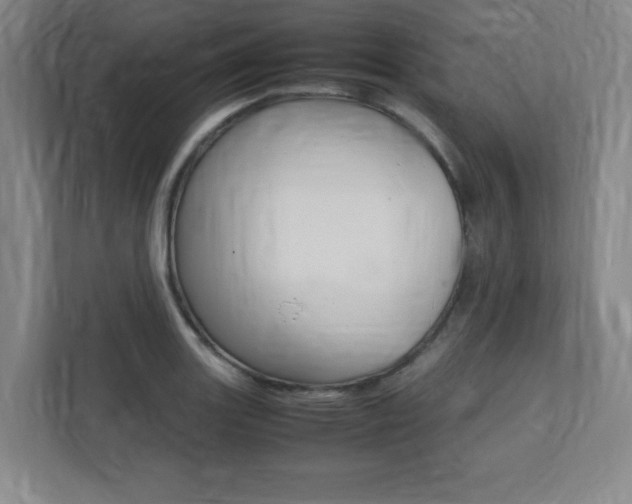 X0000112041131200908031037