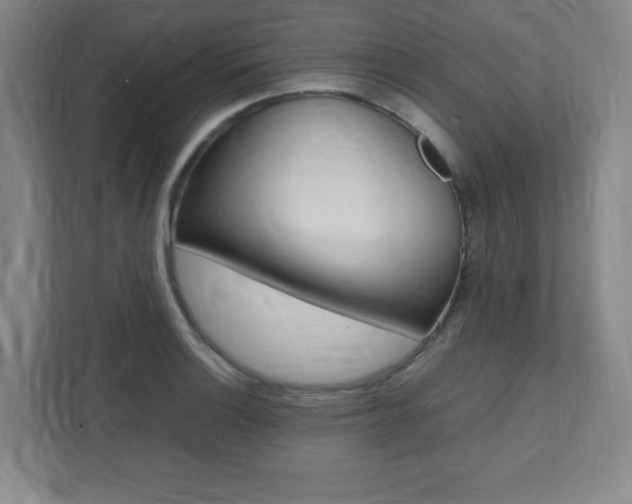 X0000112041132200908031037