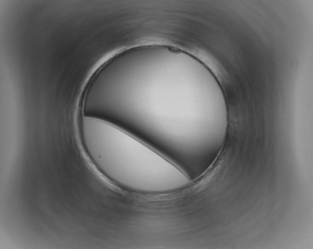X0000112041142200908031037