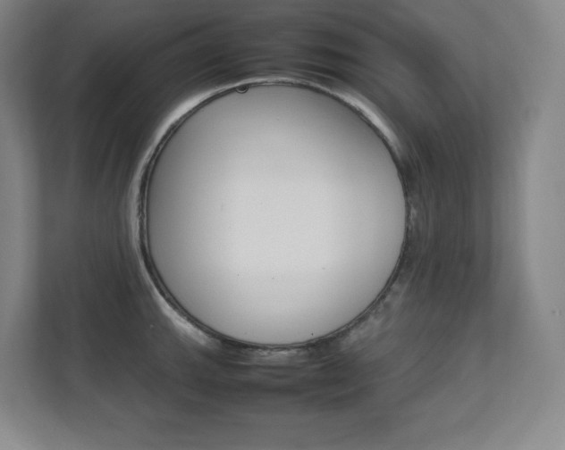 X0000112041143200908031037