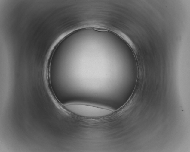 X0000112041144200908031037
