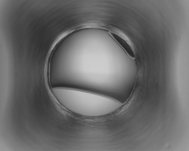 X0000112041146200908031037