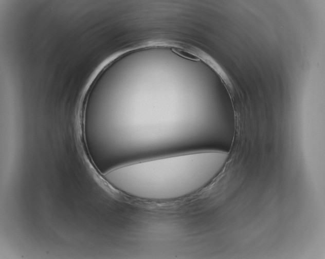 X0000112041148200908031037