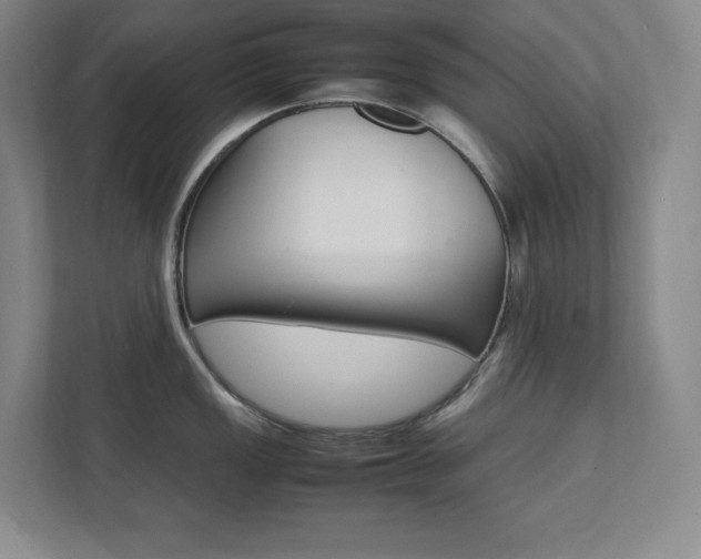 X0000112041149200908031037