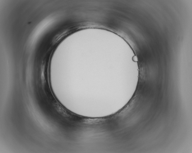 X0000112041150200908031037