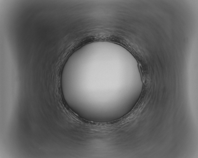 X0000112041153200908031036