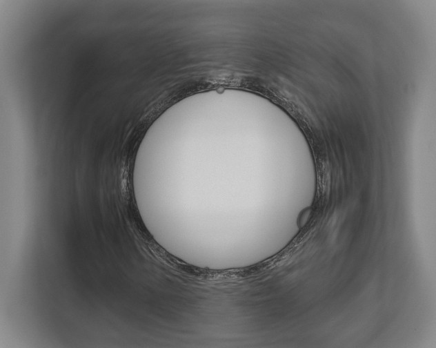 X0000112041154200908031036