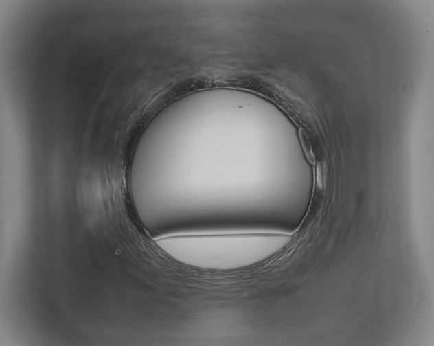 X0000112041155200908031036