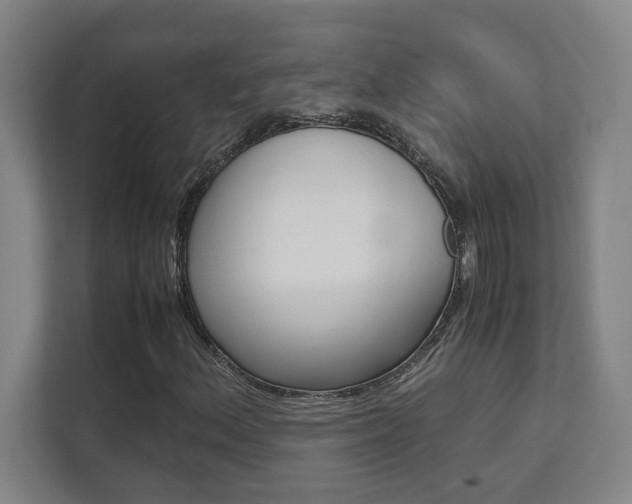 X0000112041156200908031036