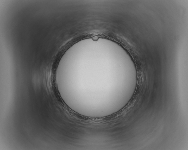 X0000112041158200908031036