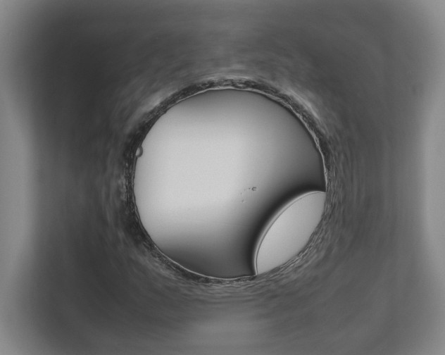 X0000112041159200908031036