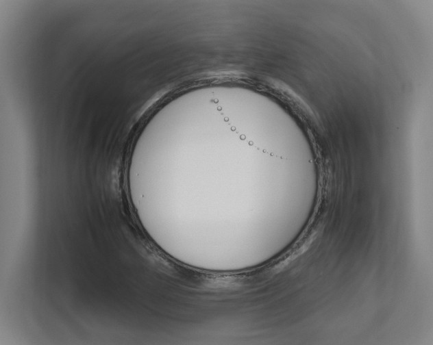 X0000112041162200908031036