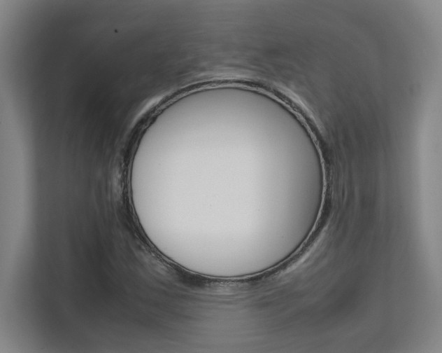 X0000112041163200908031036