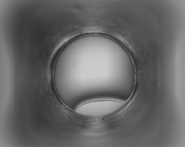 X0000112041167200908031036