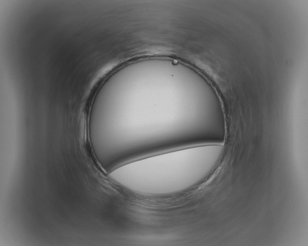 X0000112041171200908031036