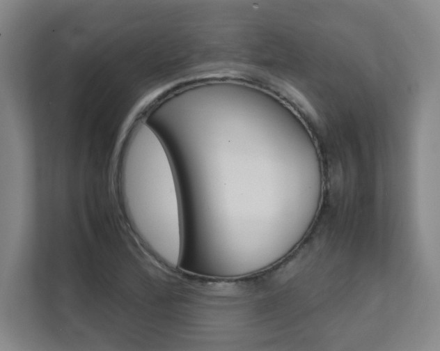 X0000112041172200908031036