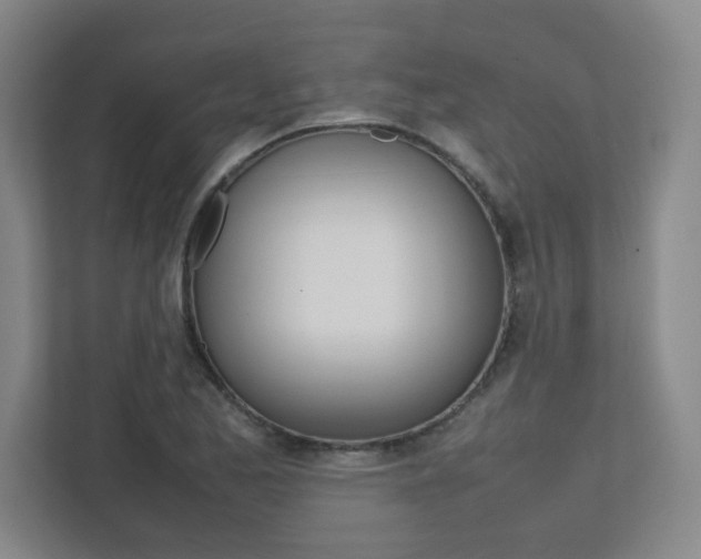 X0000112041173200908031036