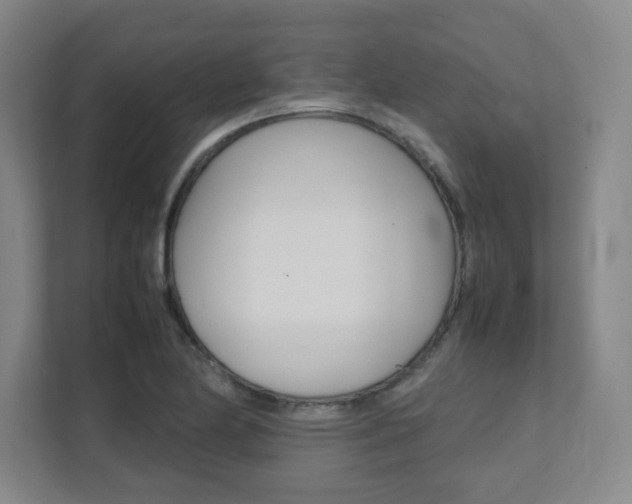 X0000112041174200908031036