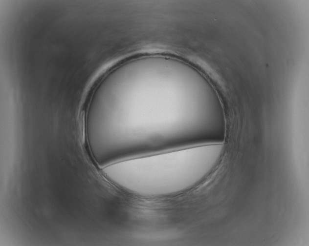 X0000112041175200908031036