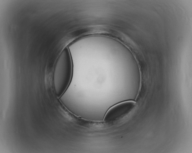 X0000112041177200908031036