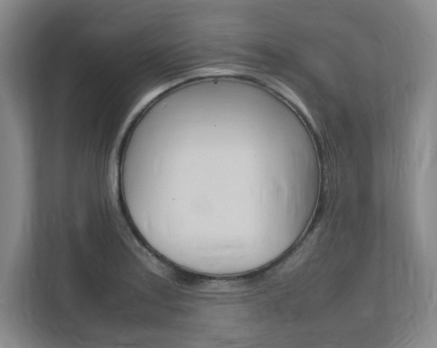 X0000112041179200908031036